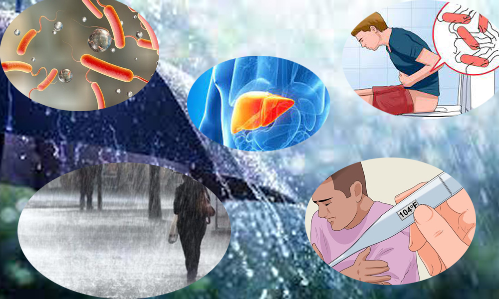 मनसुनको बेला हुन्छ संक्रमणको उच्च जोखिम, बच्न के गर्ने ?